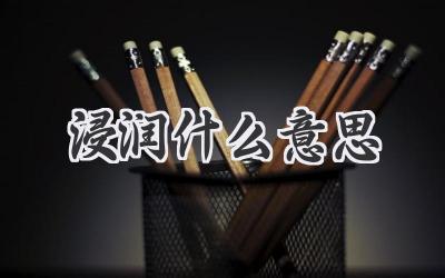 浸润什么意思