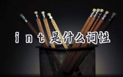 int是什么词性