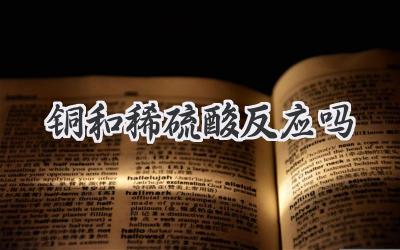 铜和稀硫酸反应吗