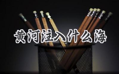 黄河注入什么海