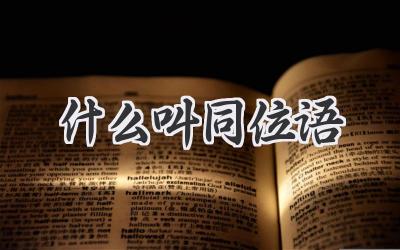 什么叫同位语