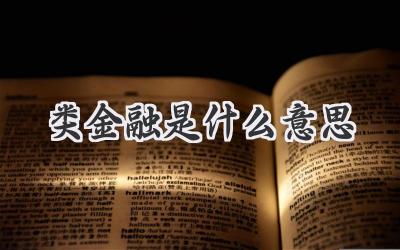 类金融是什么意思