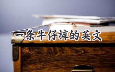一条牛仔裤的英文