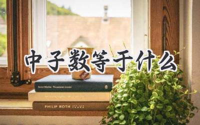 中子数等于什么