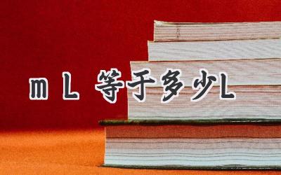 mL等于多少L
