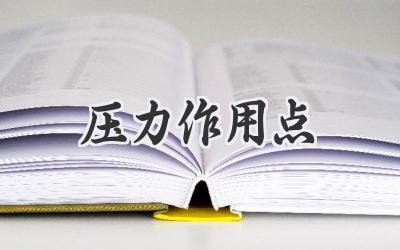 压力作用点