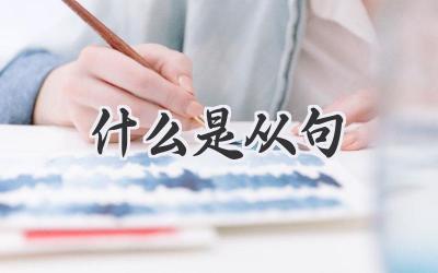 什么是从句
