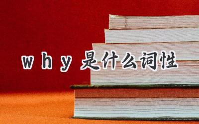 why是什么词性