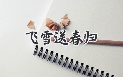 飞雪送春归