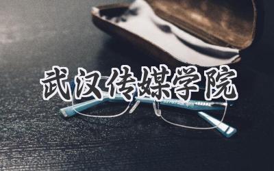 武汉传媒学院