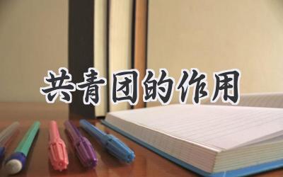 共青团的作用