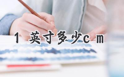 1英寸多少cm