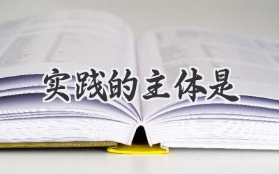 实践的主体是