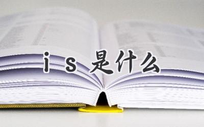 is是什么
