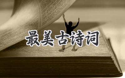 最美古诗词