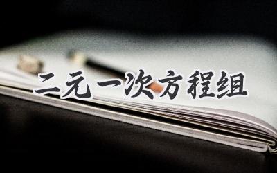 二元一次方程组