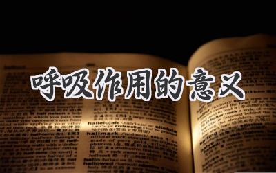 呼吸作用的意义