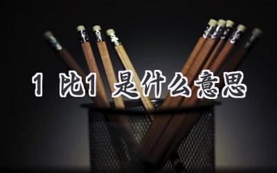 1比1是什么意思