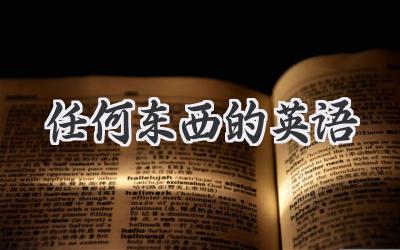 任何东西的英语