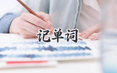 记单词