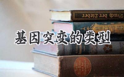 基因突变的类型