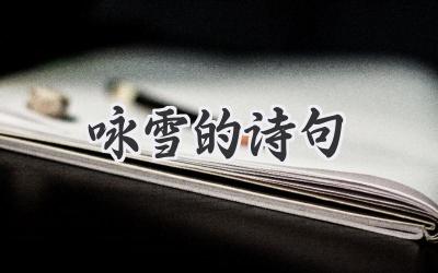 咏雪的诗句