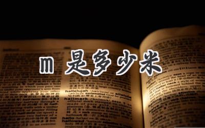 m是多少米