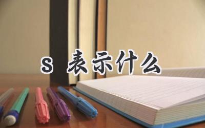 s表示什么