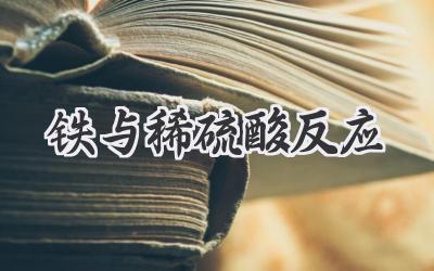 铁与稀硫酸反应