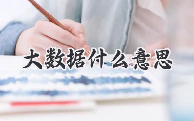 大数据什么意思