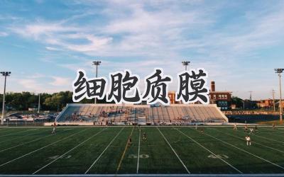 细胞质膜