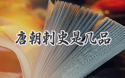 唐朝刺史是几品