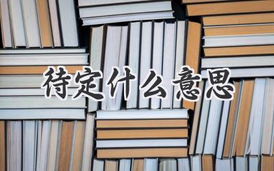 待定什么意思