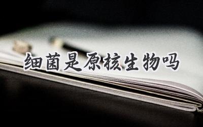 细菌是原核生物吗