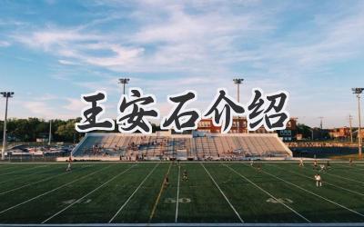 王安石介绍