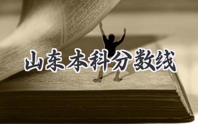 山东本科分数线