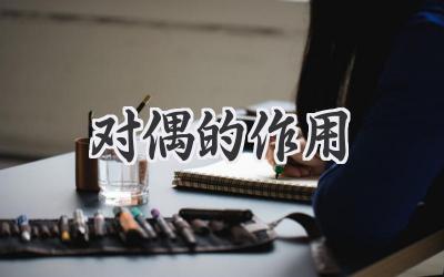 对偶的作用