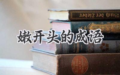 嫩开头的成语