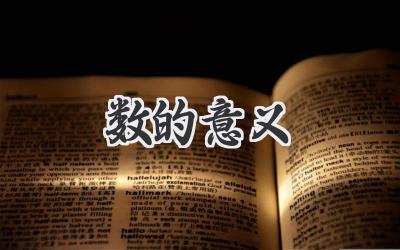 数的意义