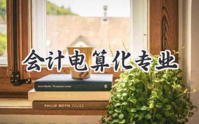 会计电算化专业