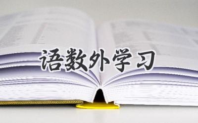 语数外学习