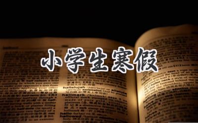 小学生寒假