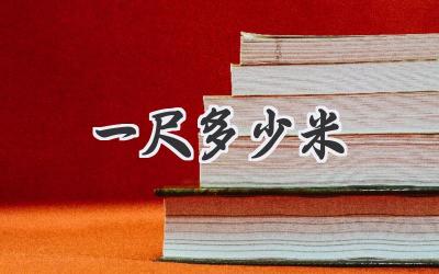 一尺多少米