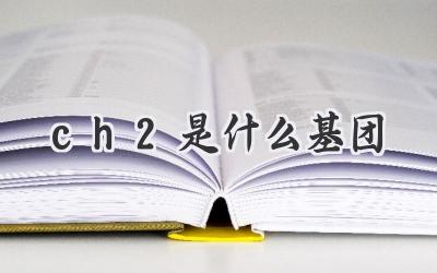 ch2是什么基团