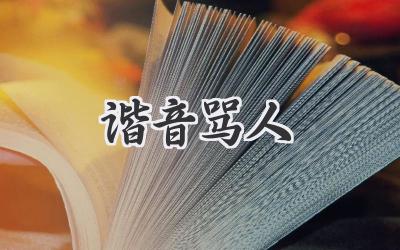 谐音骂人