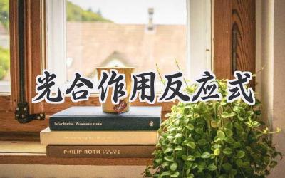 光合作用反应式