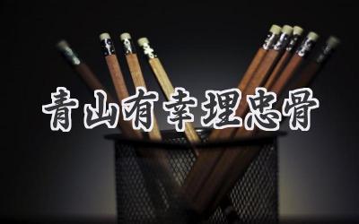 青山有幸埋忠骨