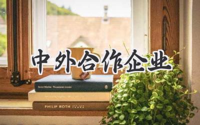 中外合作企业