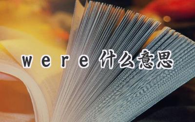 were什么意思