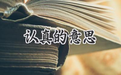 认真的意思